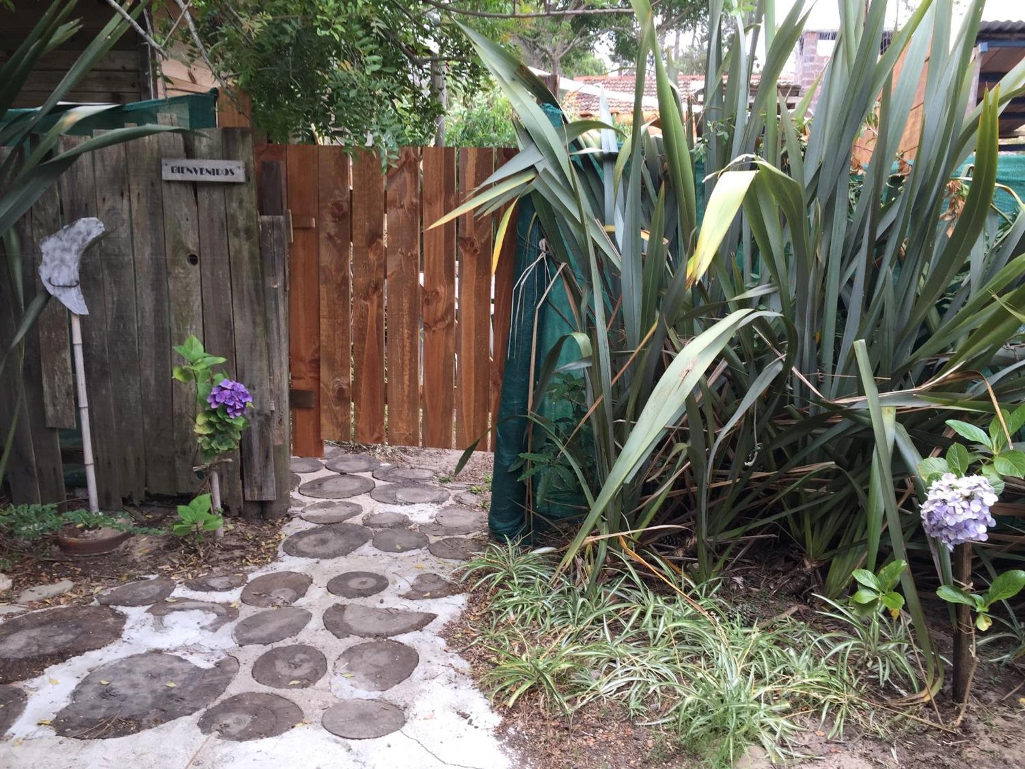 Lunas Del Bosque Cabana Y Apartamento En Suite La Paloma Εξωτερικό φωτογραφία