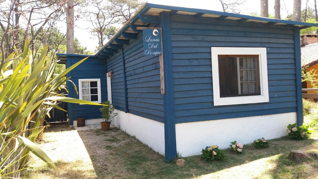 Lunas Del Bosque Cabana Y Apartamento En Suite La Paloma Εξωτερικό φωτογραφία