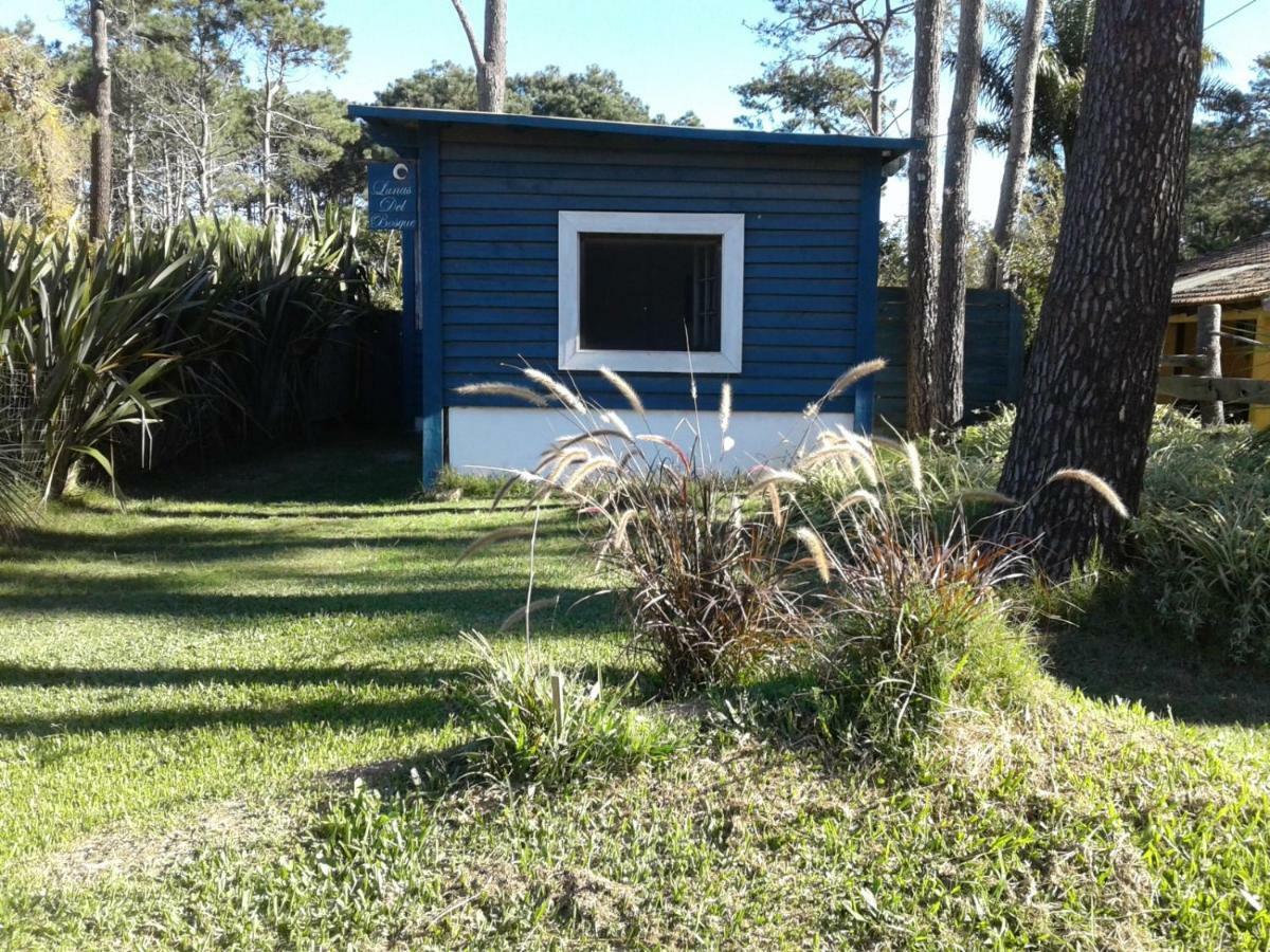 Lunas Del Bosque Cabana Y Apartamento En Suite La Paloma Εξωτερικό φωτογραφία